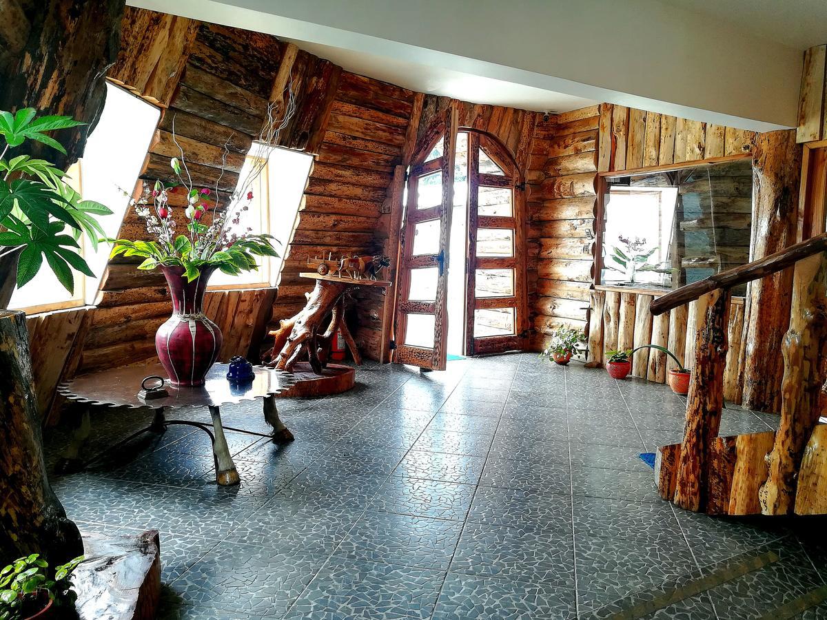 Hotel Catripulli Pucón Buitenkant foto