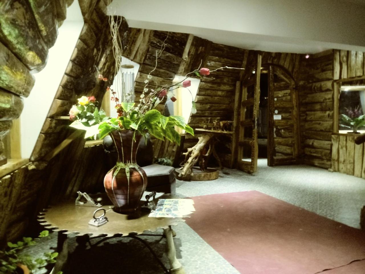 Hotel Catripulli Pucón Buitenkant foto